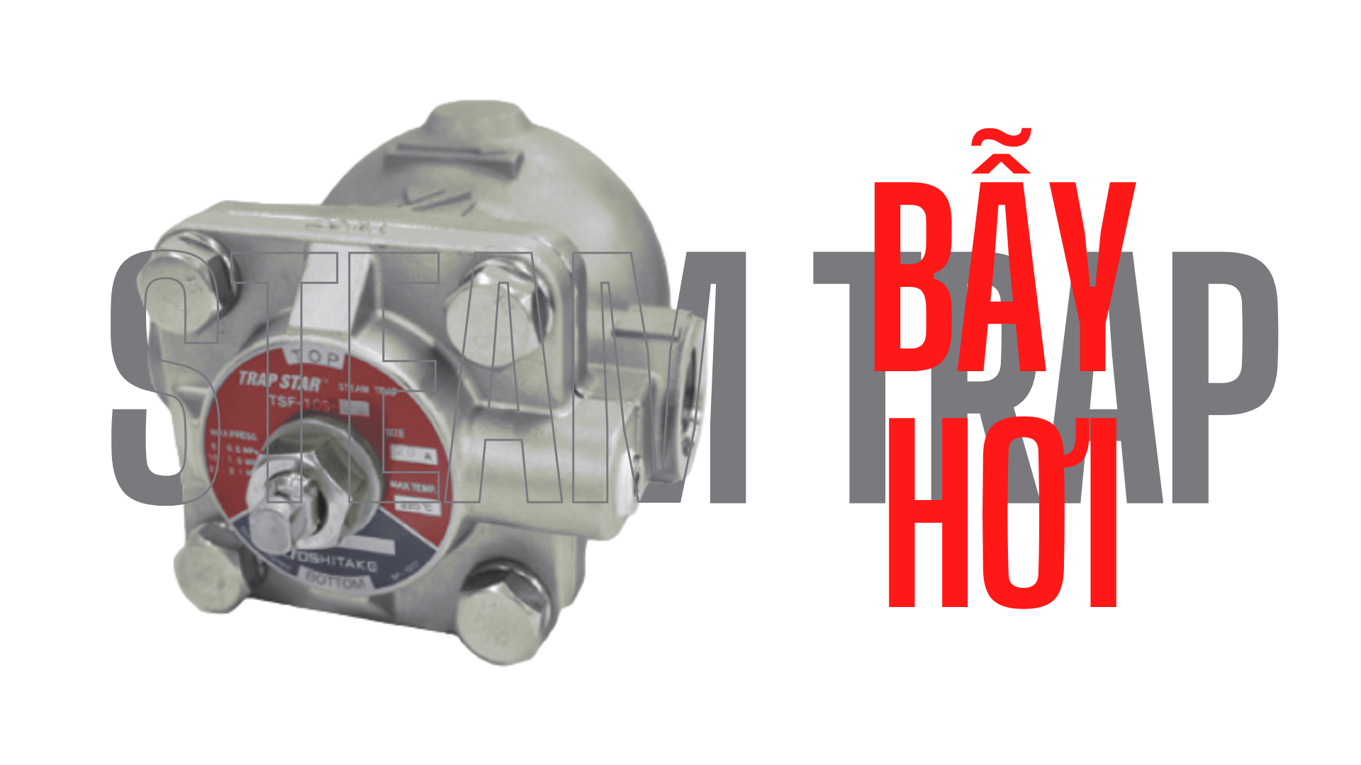 Bẫy Hơi (Steam Trap): Toàn Tập Về Cấu Tạo, Nguyên Lý và Ứng Dụng Trong Công Nghiệp