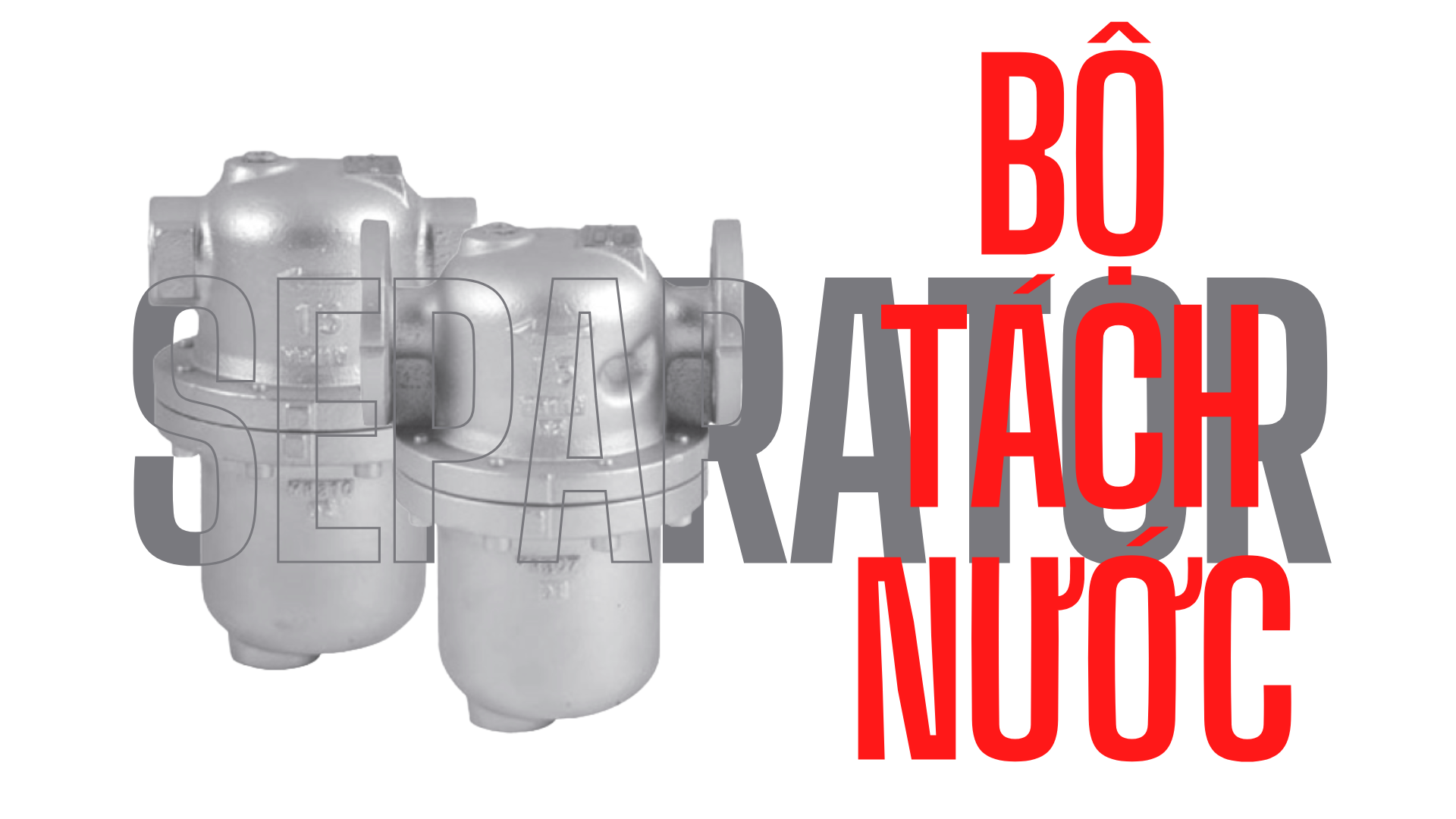 Bộ Tách Nước (Separator): Giải Pháp Loại Bỏ Nước Ngưng Tụ Tối Ưu Cho Khí Nén và Hơi Nóng