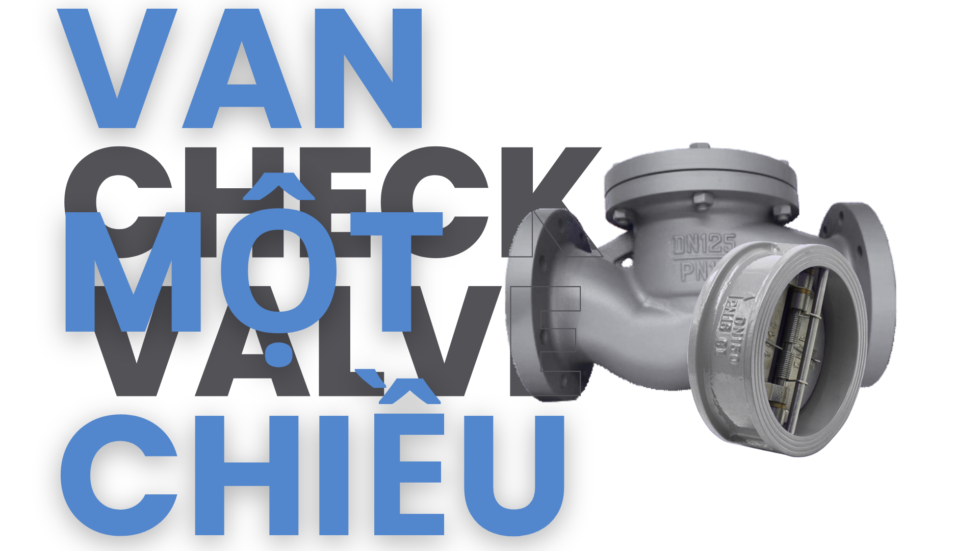 Van Một Chiều (Check Valve) – Giải Pháp Ngăn Dòng Chảy Ngược Hiệu Quả