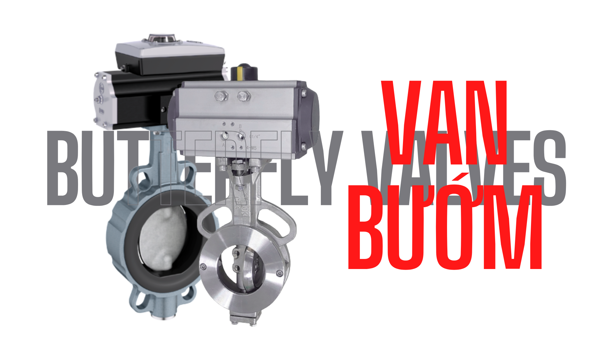 Van Bướm (Butterfly Valve) – Giải Pháp Điều Tiết Dòng Chảy Hiệu Quả